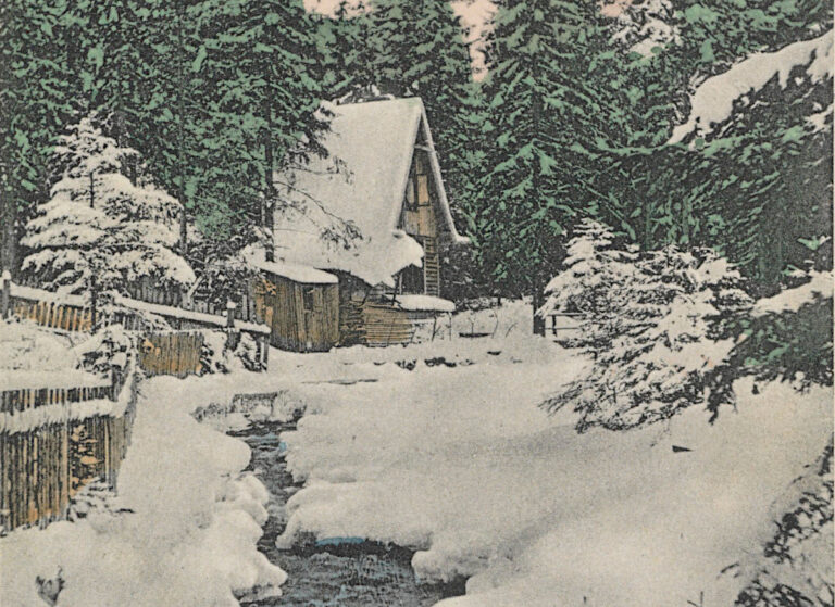 Henryk Sienkiewicz o licytacji dóbr zakopiańskich